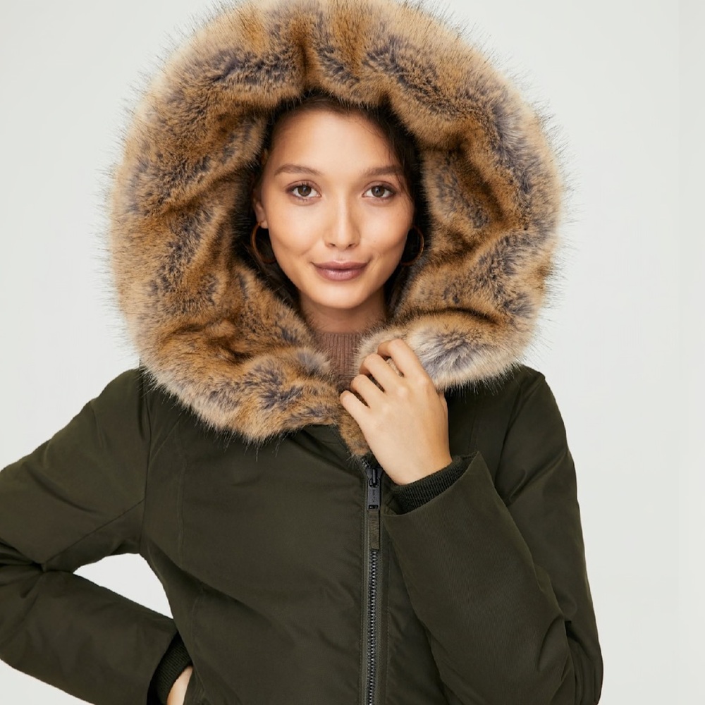 Aritzia St. Moritz Parka